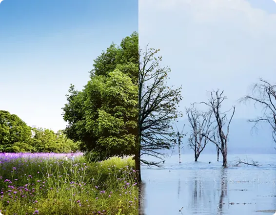 Image Difference Detection Interface